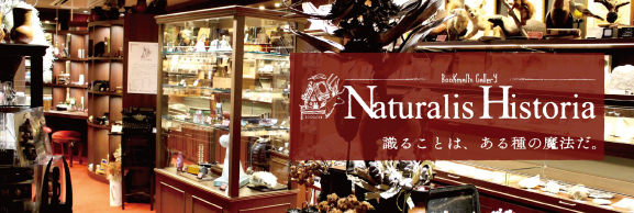 ナチュラルヒストリエ